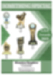 SS GAA 2019 GLENVIEW.jpg